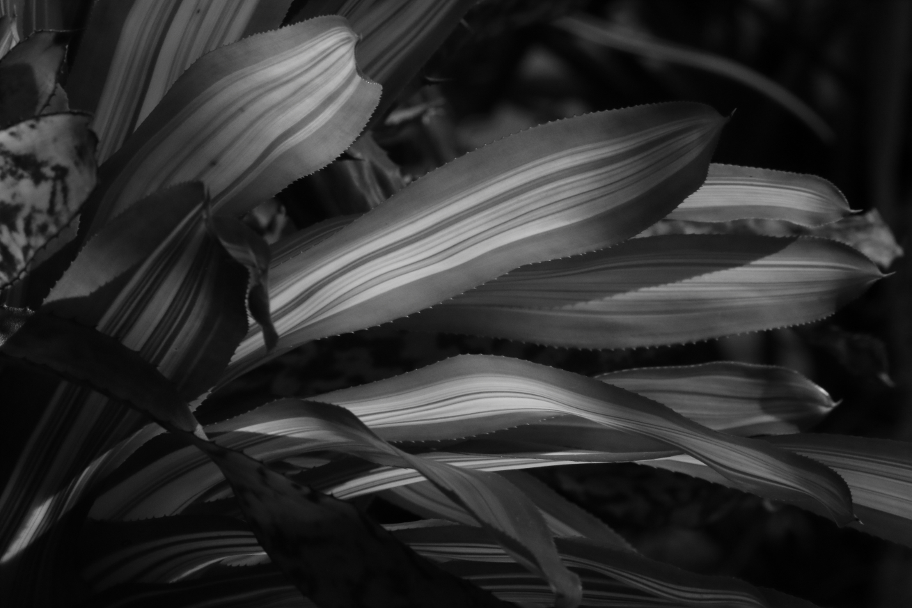2015 09 02 HTP 05104
